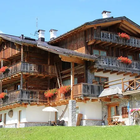 Kratter Alpenplick * Sappada